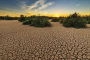İklim değişikiğinin neden olduğu kuraklık